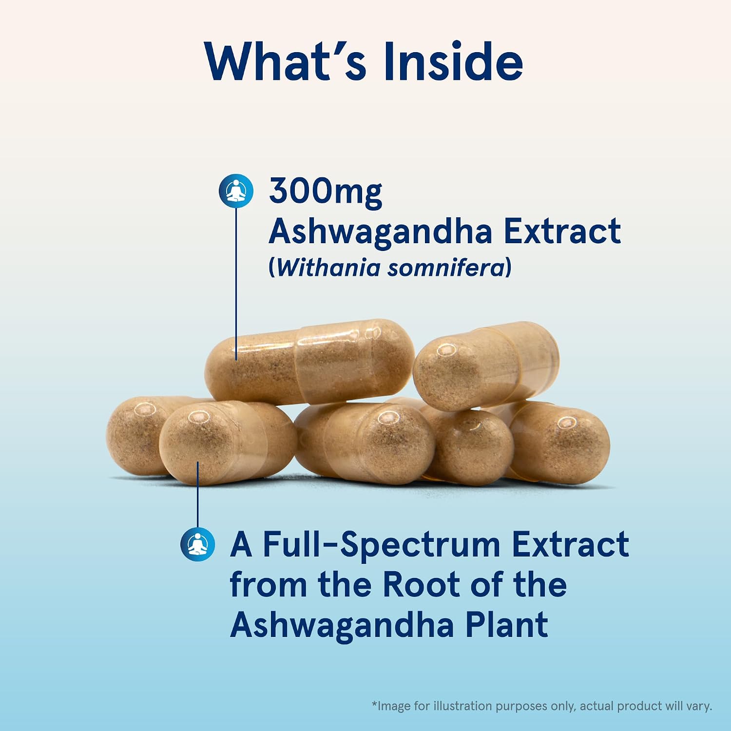 Jarrow Ashwagandha Capsules, 300 mg for Stress Support, 120 Count