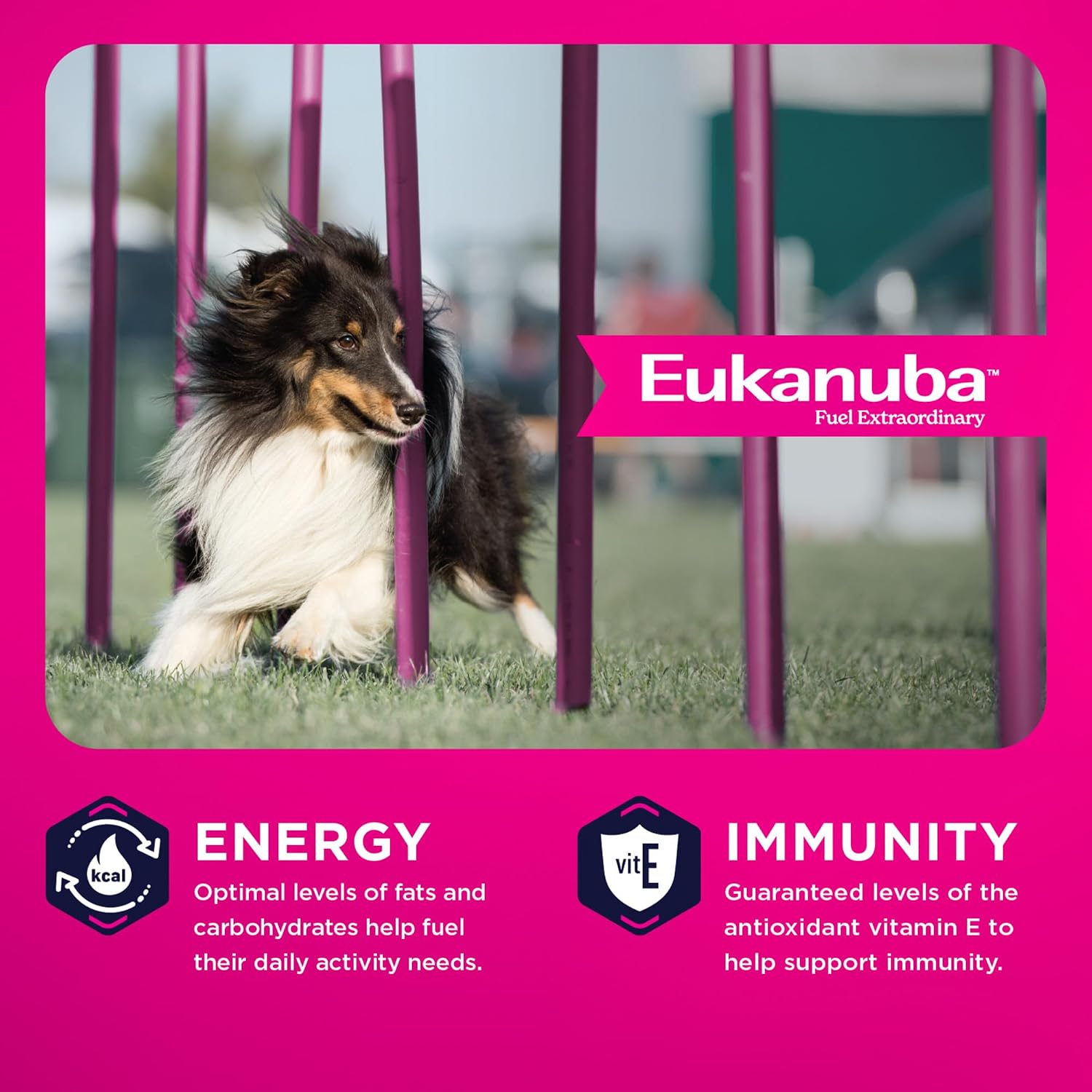 Eukanuba Adult Medium Breed Dry Dog Food, 35 lb bag.