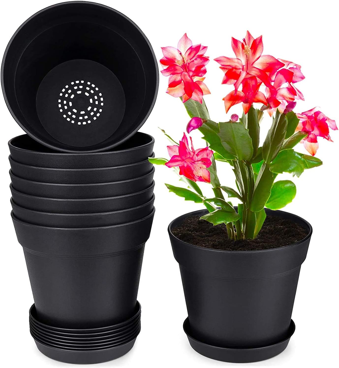 homenote 7.5 Inch Plastic Flower Pots with Drainage Holes and Trays (8 Pcs)