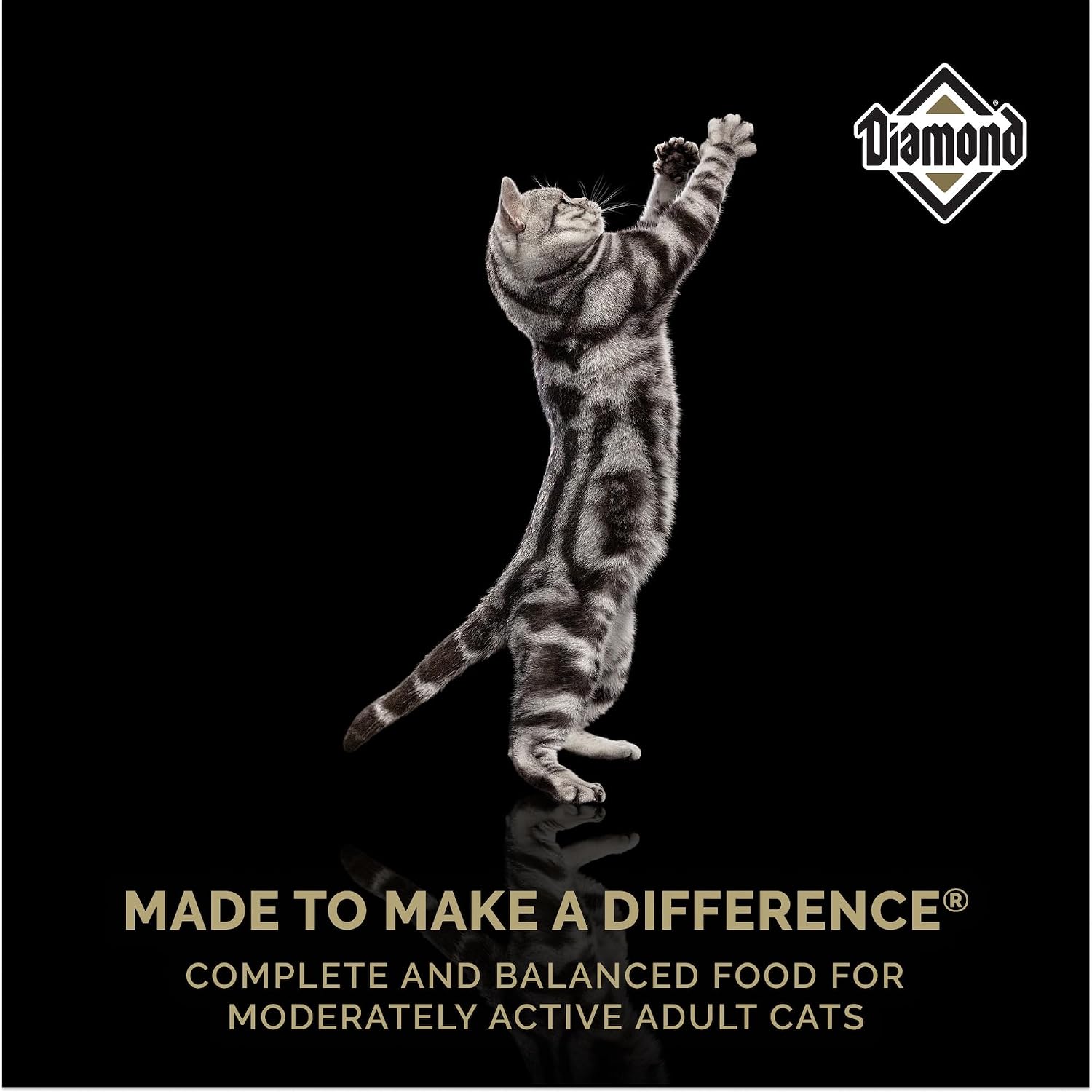 Diamond Maintenance Adult Dry Cat Food, Chicken Protein, 20lb | For Moderately Active Cats | Omega Fatty Acids to Help Support Skin & Coat Health | Taurine for Heart & Eye Health