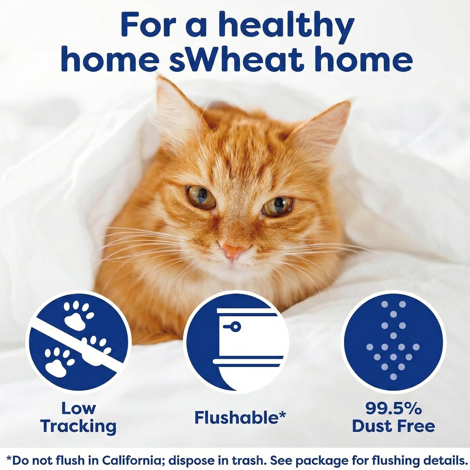 sWheat Scoop Natural Wheat Multi-Cat Litter, Superior Clumping with Odor Neutralizing Enzymes, 25 Pound Bag