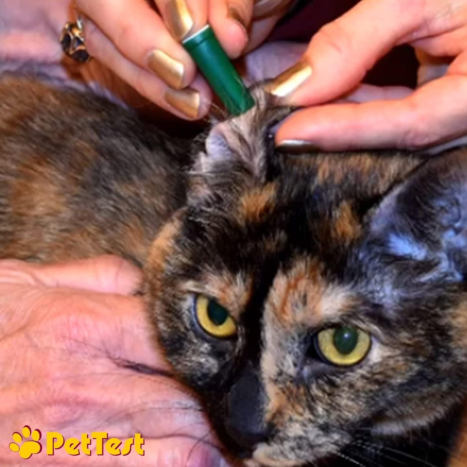 Safety Lancets for Dogs & Cats 21 Gauge, Diabetes Blood Testing