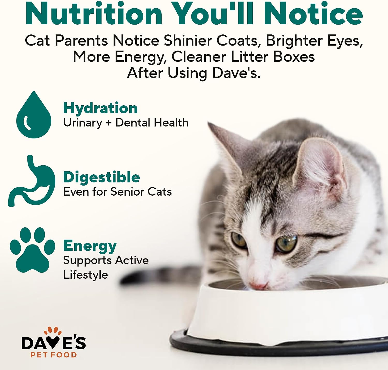 Dave's Pet Food Grain Free Wet Canned Cat Food Pate, Chicken, 12.5 oz, 12pk | Made in USA, Naturally Healthy, Easy to Digest Wheat & Gluten-Free, Use as Topper or Meal, Carrageenan-Free