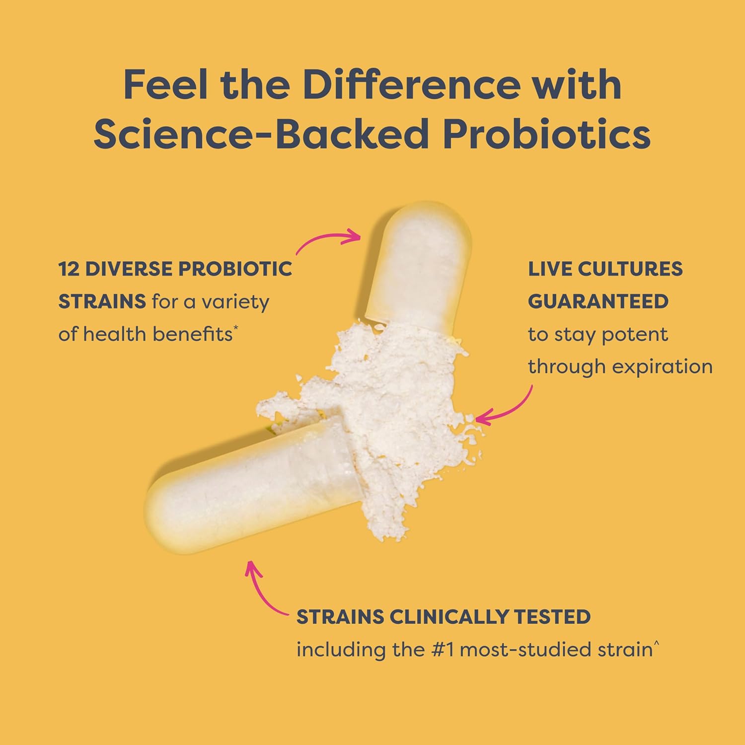 Renew Life Ultimate Flora Probiotic 80 Billion CFU | 31 Strains