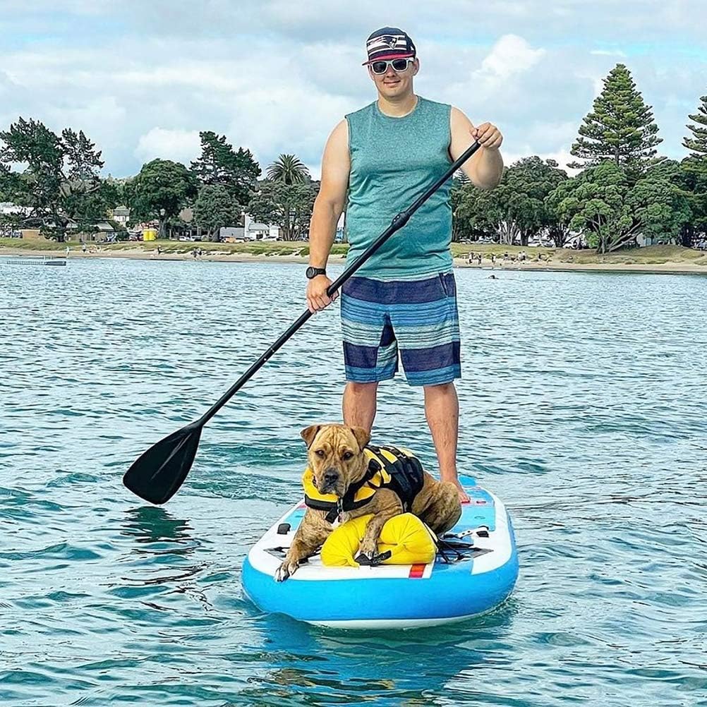 Karltion SUP Paddle - 3-Piece Adjustable Aluminium SUP Paddle with Glass Fiber Blade for Surfing, Floating, Water Sports