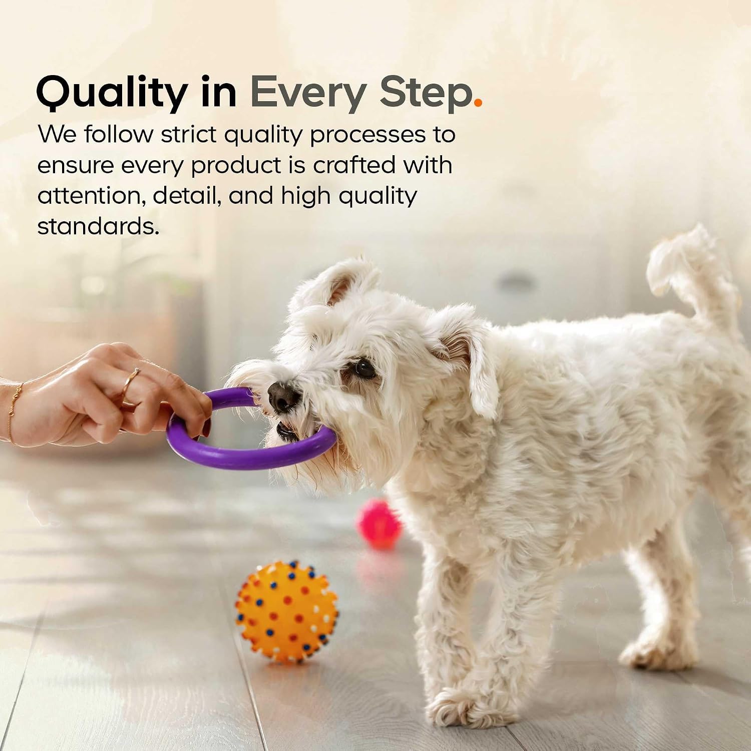 DNA PET Happy Immune Support Mushroom Powder for Dogs, 7 Mushrooms, 3.5 oz