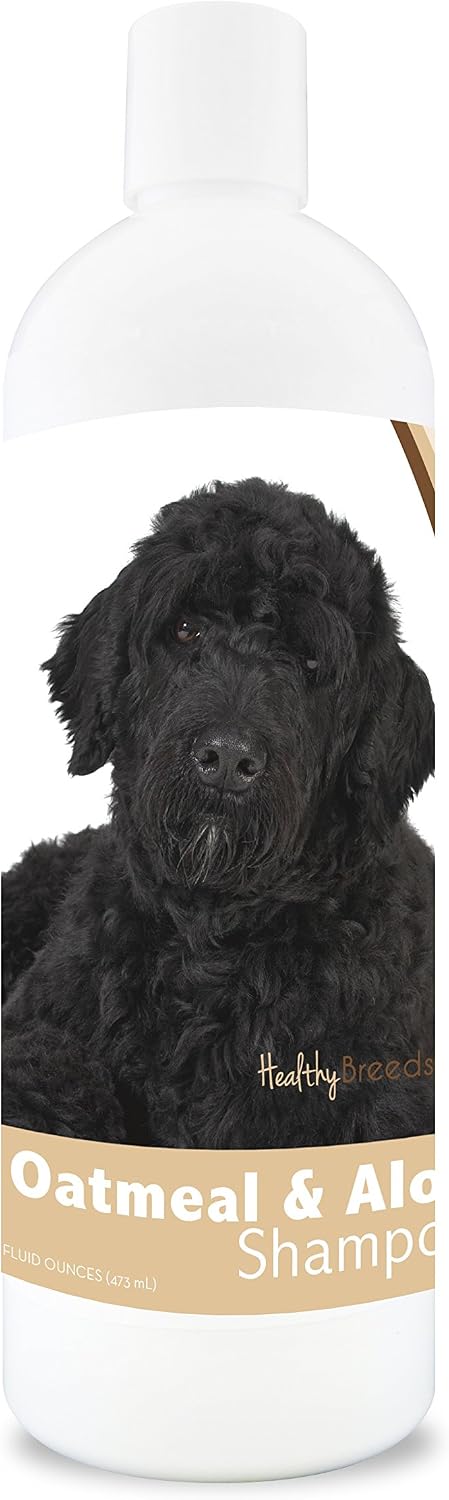 Healthy Breeds Bernese Mountain Dog Oatmeal Shampoo with Aloe 16 oz