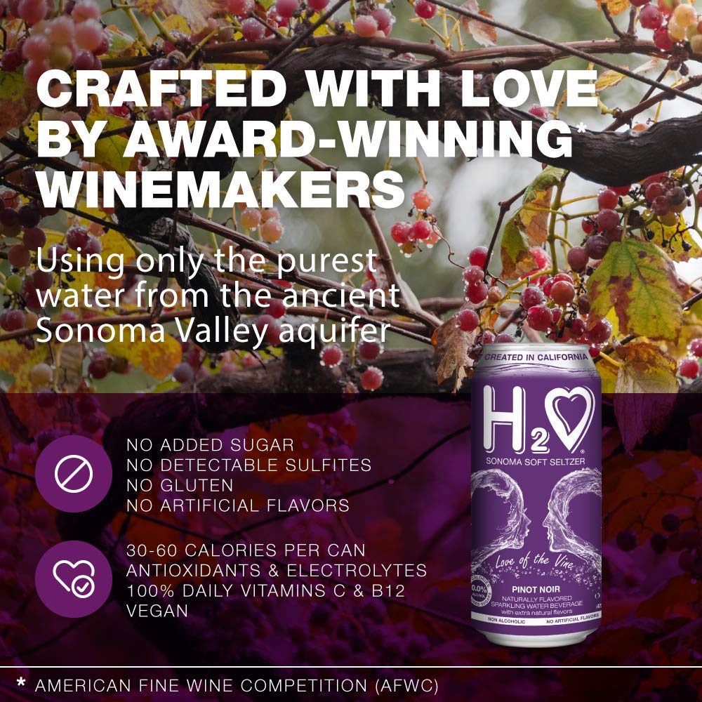 H2o - The Best Non Alcoholic Red Wine - Infused California Sparkling Refreshment, 0.0% Alcohol, (Pinot Noir, Pack of 4-12 Fl oz)