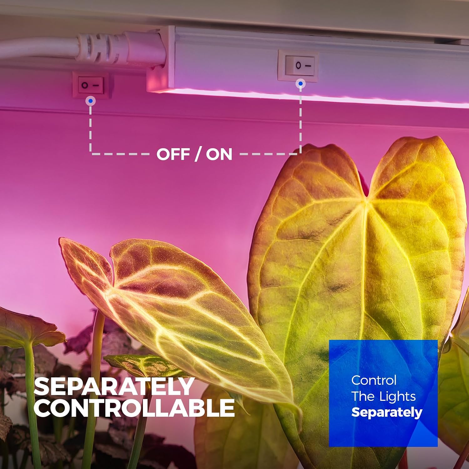 Barrina T5 Grow Lights for Indoor Plants, Full Spectrum, 2FT, 8 Packs