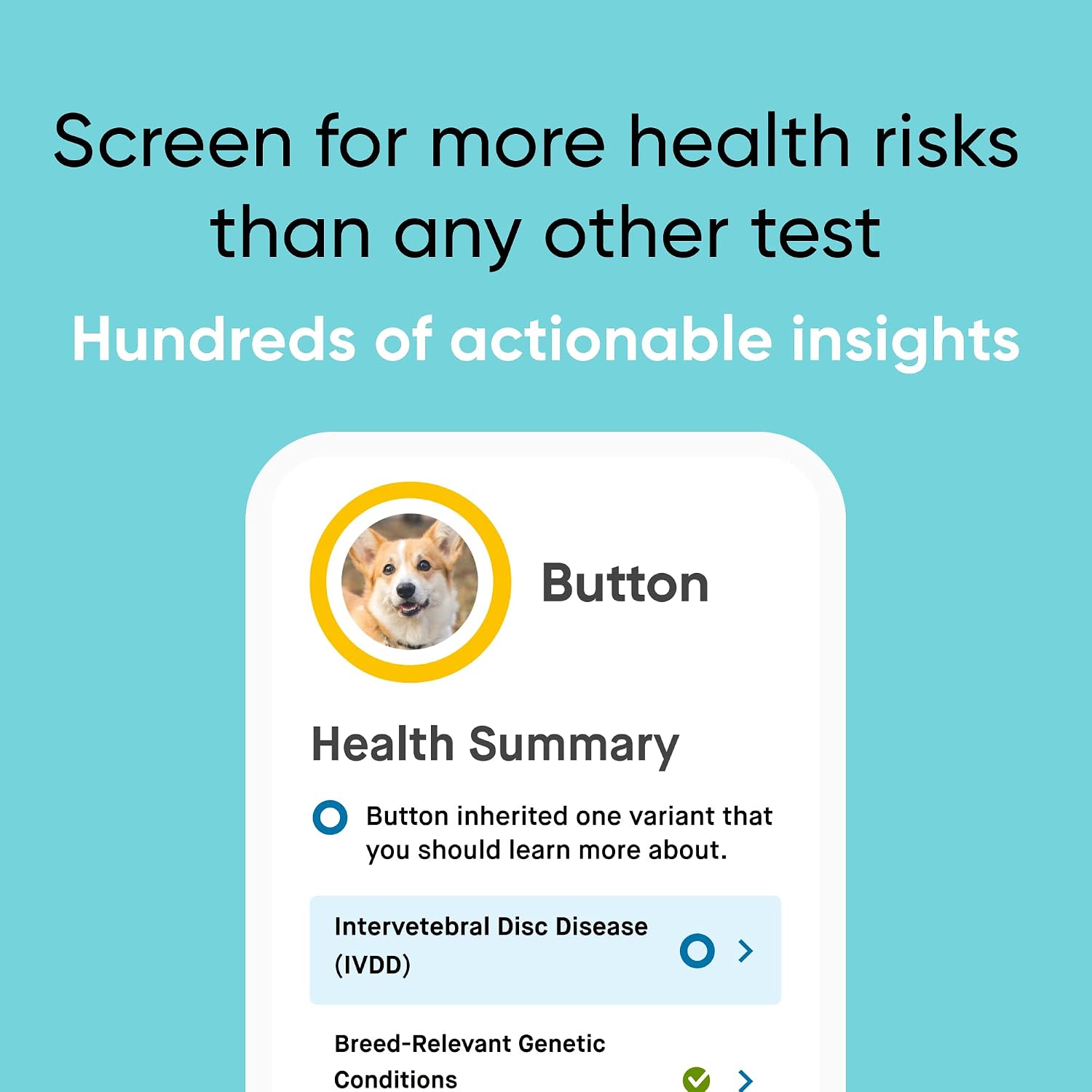 Embark Purebred Dog DNA Test - 270+ Genetic Health Conditions, 55 Physical Traits, Coefficient of Inbreeding (COI), Relatives, Breed Confirmation