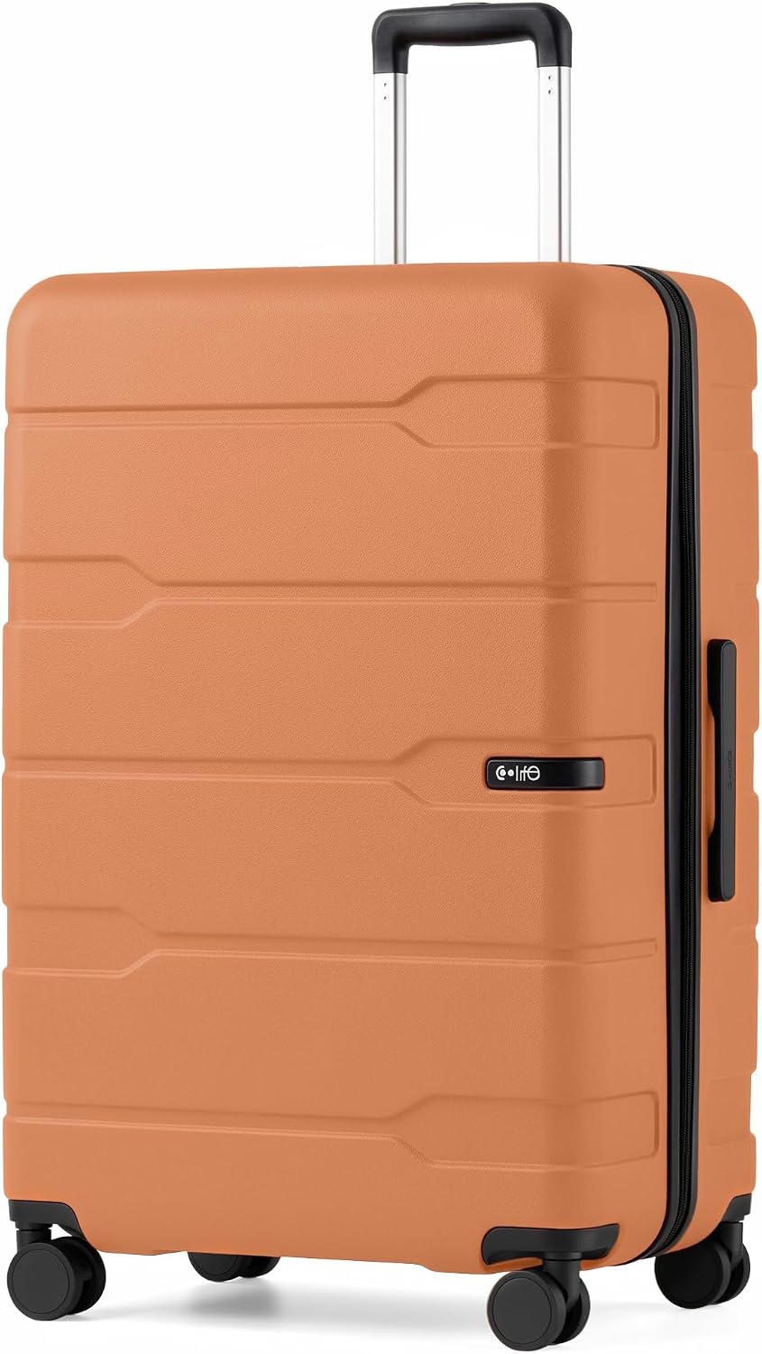 Coolife Medium Checked Luggage Hardside Suitcase with Spinner Wheels, 24in | Lightweight ABS+PC, Rolling Travel Suitcase with TSA Lock, Spinner Wheels, Durable Zipper, Charcoal