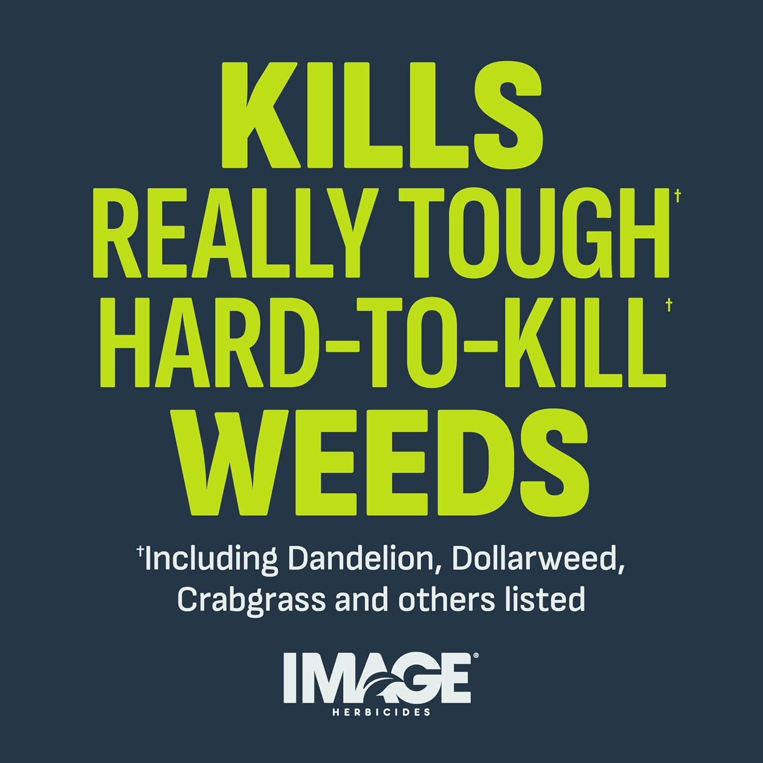 Image Herbicide Nutsedge Killer for Southern Lawns, 32 fl oz | Weed killer spray for Bermudagrass, Zoysiagrass, St. Augustinegrass