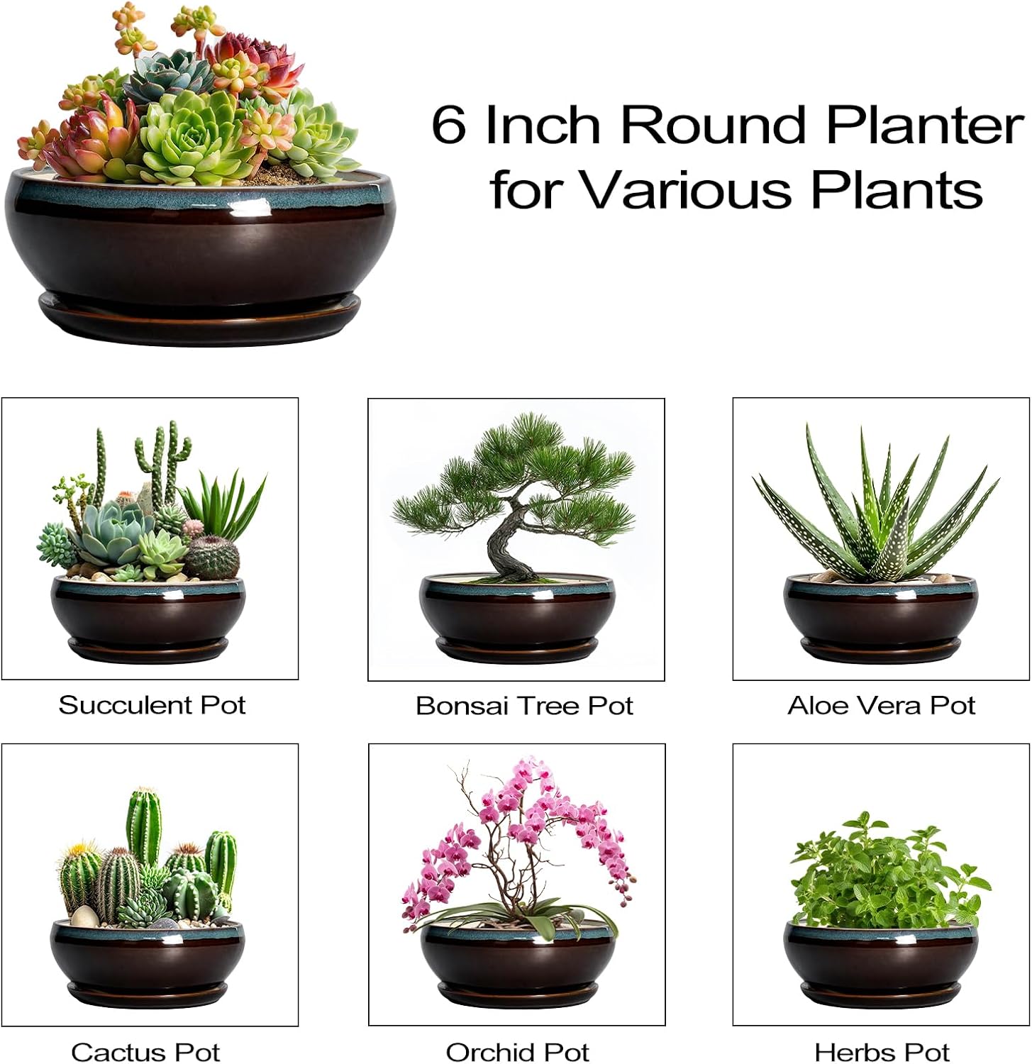 SQOWL 7 Inch Round Ceramic Succulent Planter Pot Drip Glazed Shallow Planter with Drainage Bamboo Tray for Indoor Plants
