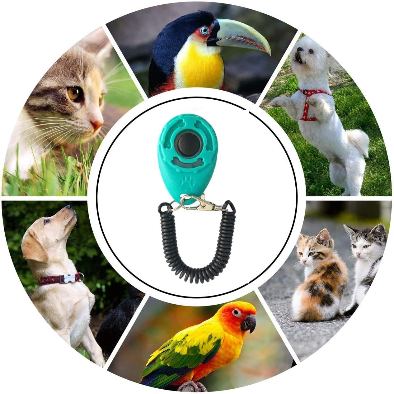 Dog Training Clicker with Wrist Strap Durable Lightweight Easy to Use-2 Pack(Black+New Blue)