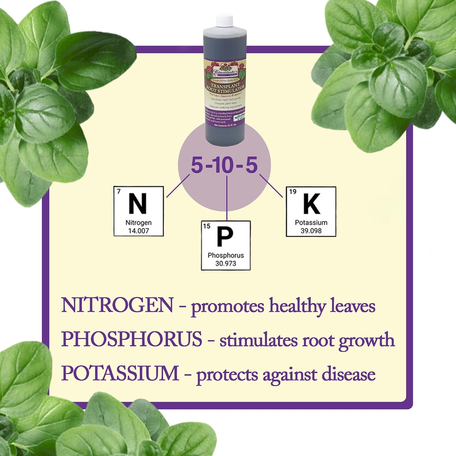 Esbenshade’s Transplant Root Stimulator 5-10-5 Fertilizer, 32oz - Liquid Fertilizer with Seaweed, Fish & Humic Acid - Reduces Transplant Shock