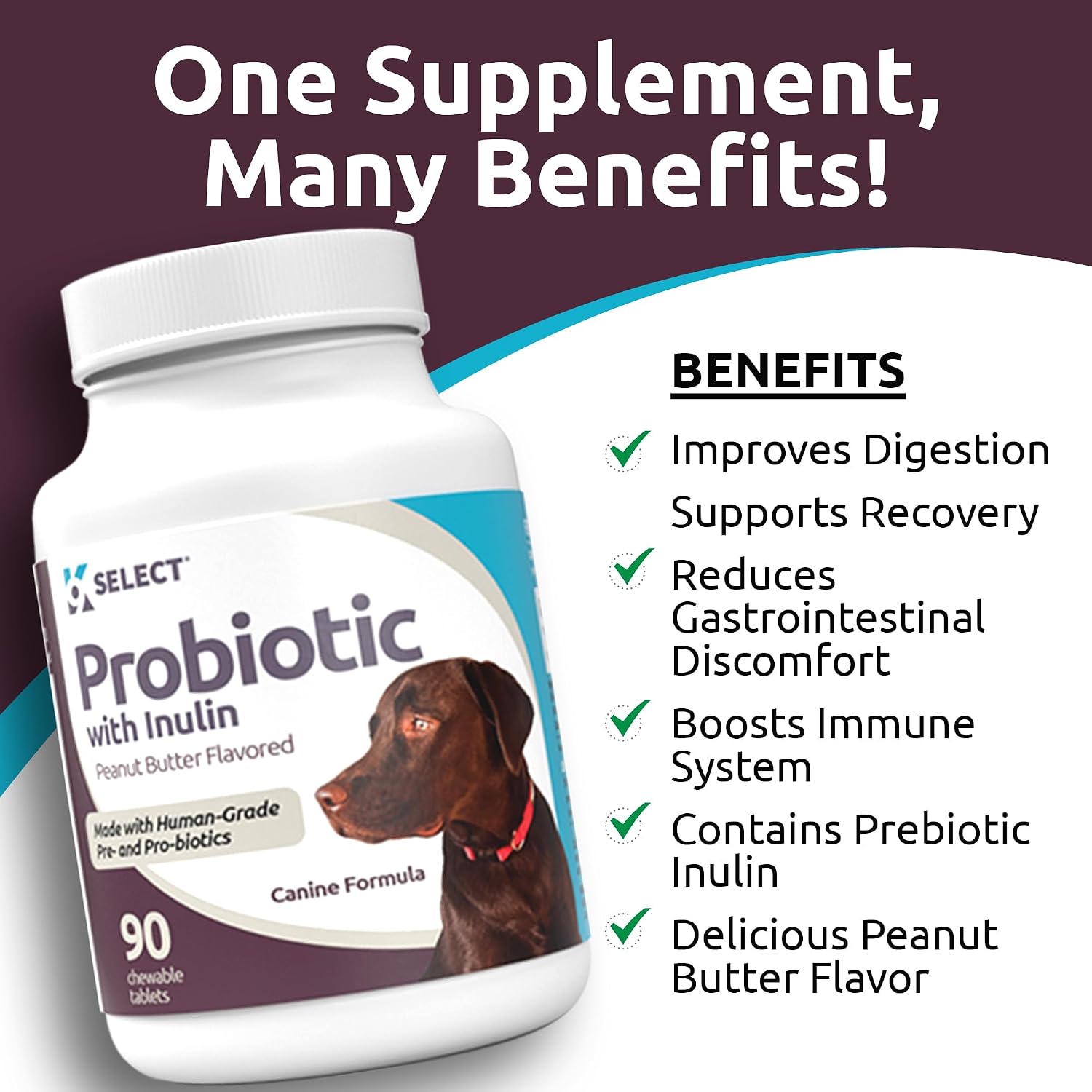 K9 Select Pet Probiotics for Dogs with Inulin – Dog probiotics for Digestive Health & Gut Support with Digestive Enzymes for Dogs