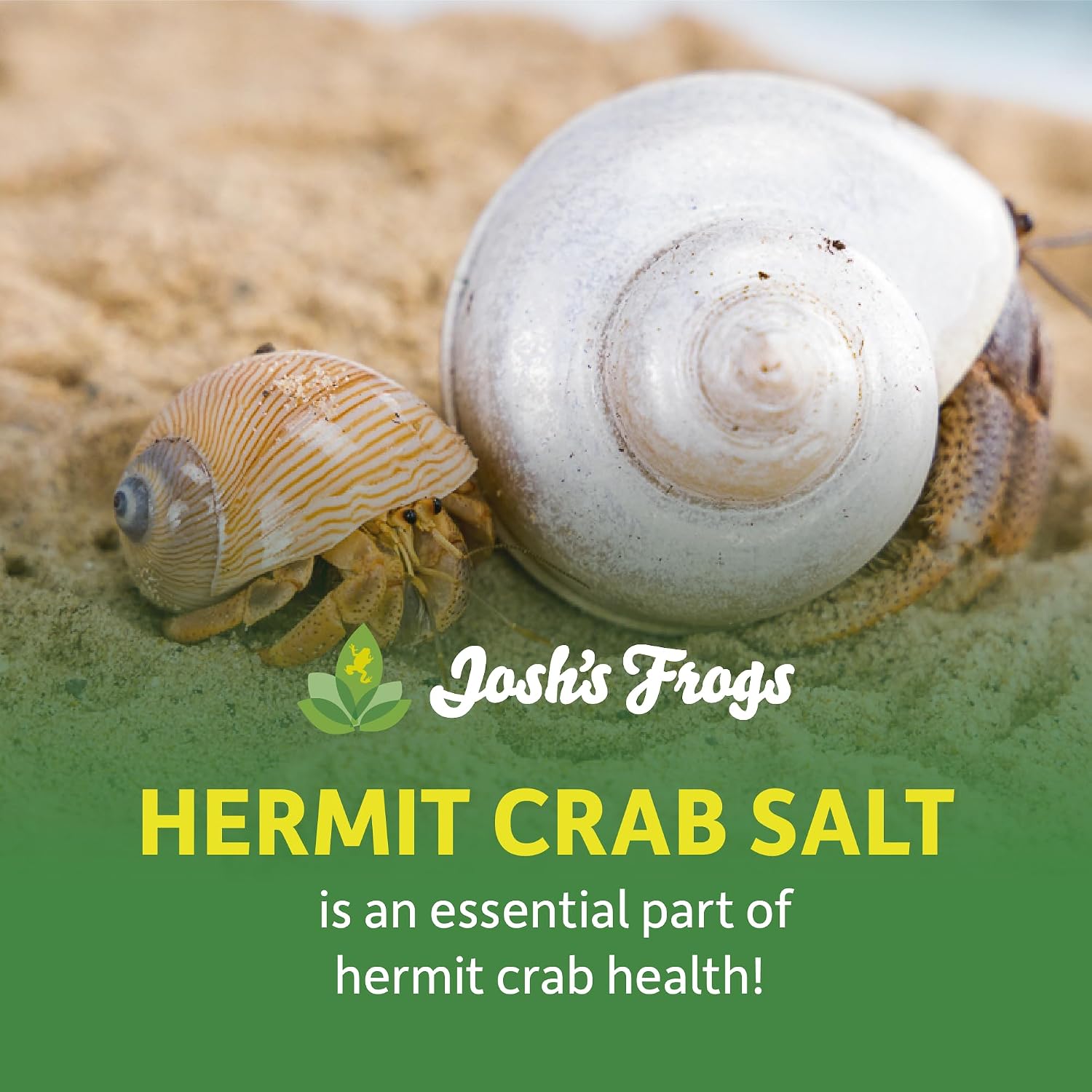 Josh's Frogs Hermit Crab Marine Salt and Scooper