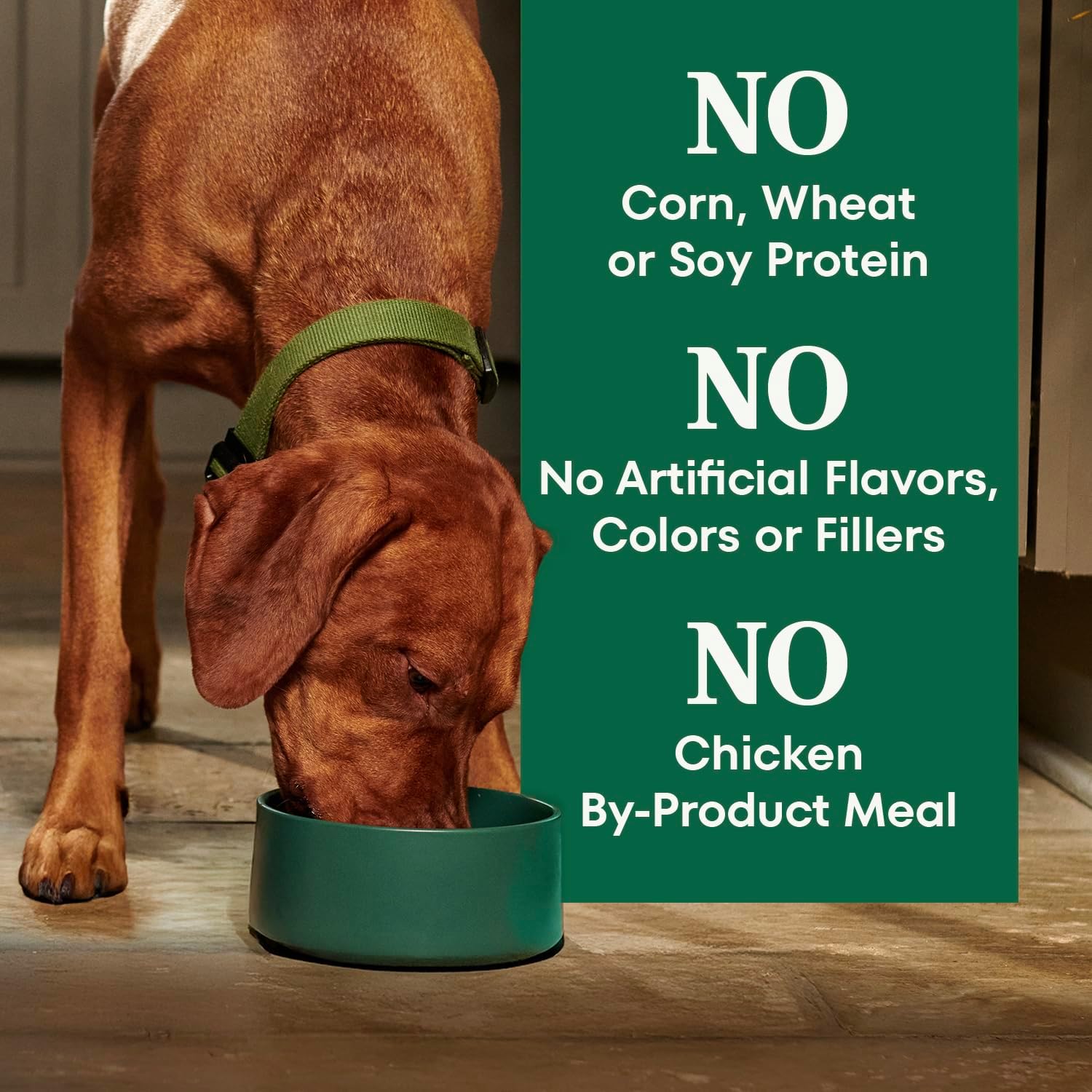 Nutro Natural Choice Adult Dry Dog Food, Chicken & Brown Rice Recipe, 5 lb | Non-GMO, Real chicken #1 ingredient, no corn, wheat, soy or chicken by-product meal, supports skin & coat/digestion/immunity