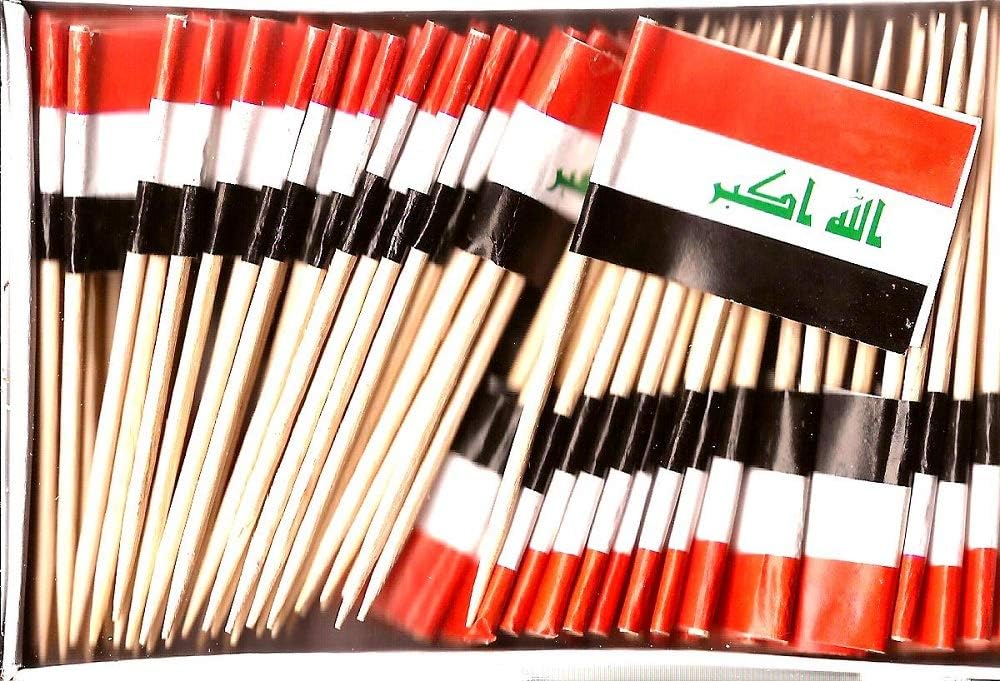 One Box of 100 Nicaragua Toothpick Flags, 100 Small Mini International Flag Cupcake Toothpicks or Cocktail Picks