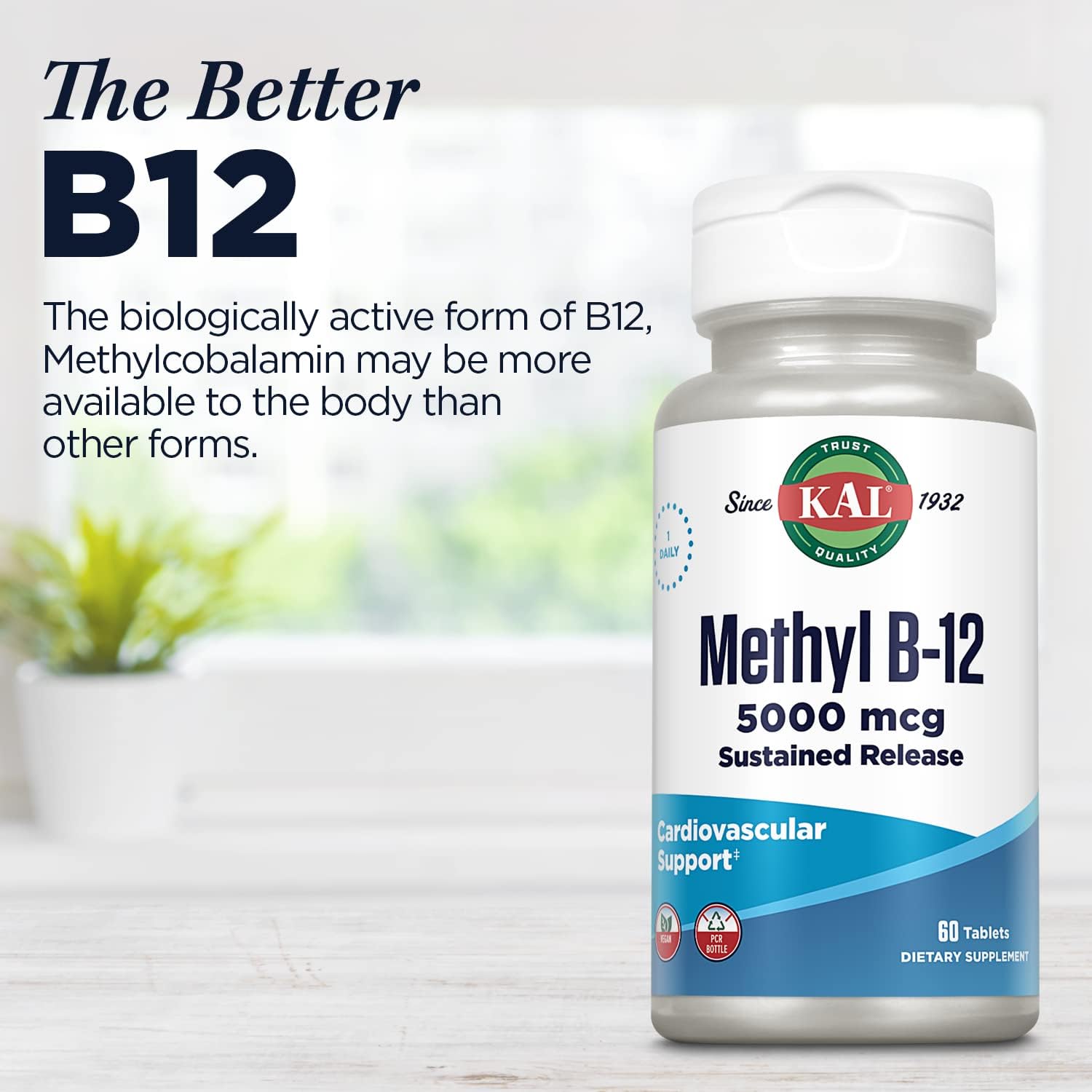 KAL Vitamin B-6 B-12 Folic Acid DropIns, Liquid Vitamin B Supplement Drops, Heart Health, Energy, Red Blood Cell Support with Methyl B12 and Methyl Folate, Natural Mixed Berry Flavor, 59 Servings, 2oz | Cardiovascular, Energy & Nerve Support - Active P-5…