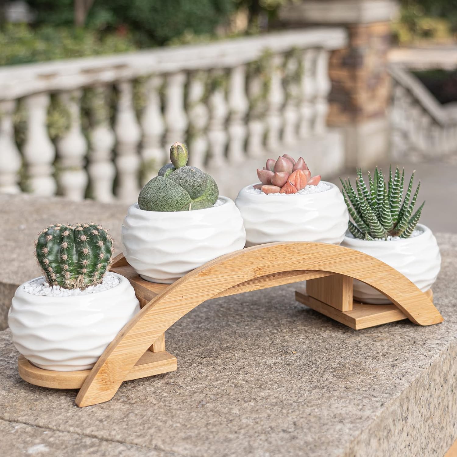 E-liu Eliu Cute Small Ceramic Succulent Pots and Stand Set, Pack of 4 | White Succulent Planter Pot with Drainage Fits Well In Windowsills