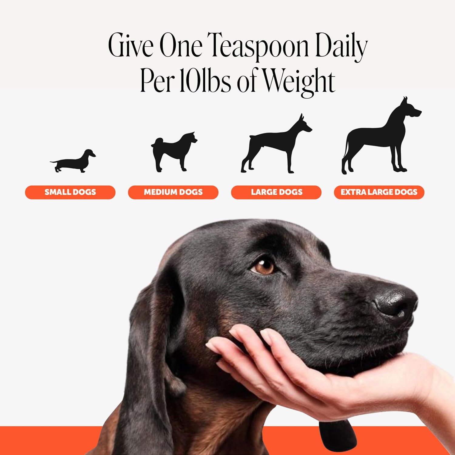 Hip + Joint Supplement for Dogs with Glucosamine Chondroitin - MSM, Turmeric & Collagen Soft Chews - Joint Function, Stiffness, and Mobility Support, May Reduce Occasional Discomfort (Chicken, 90 Ct)