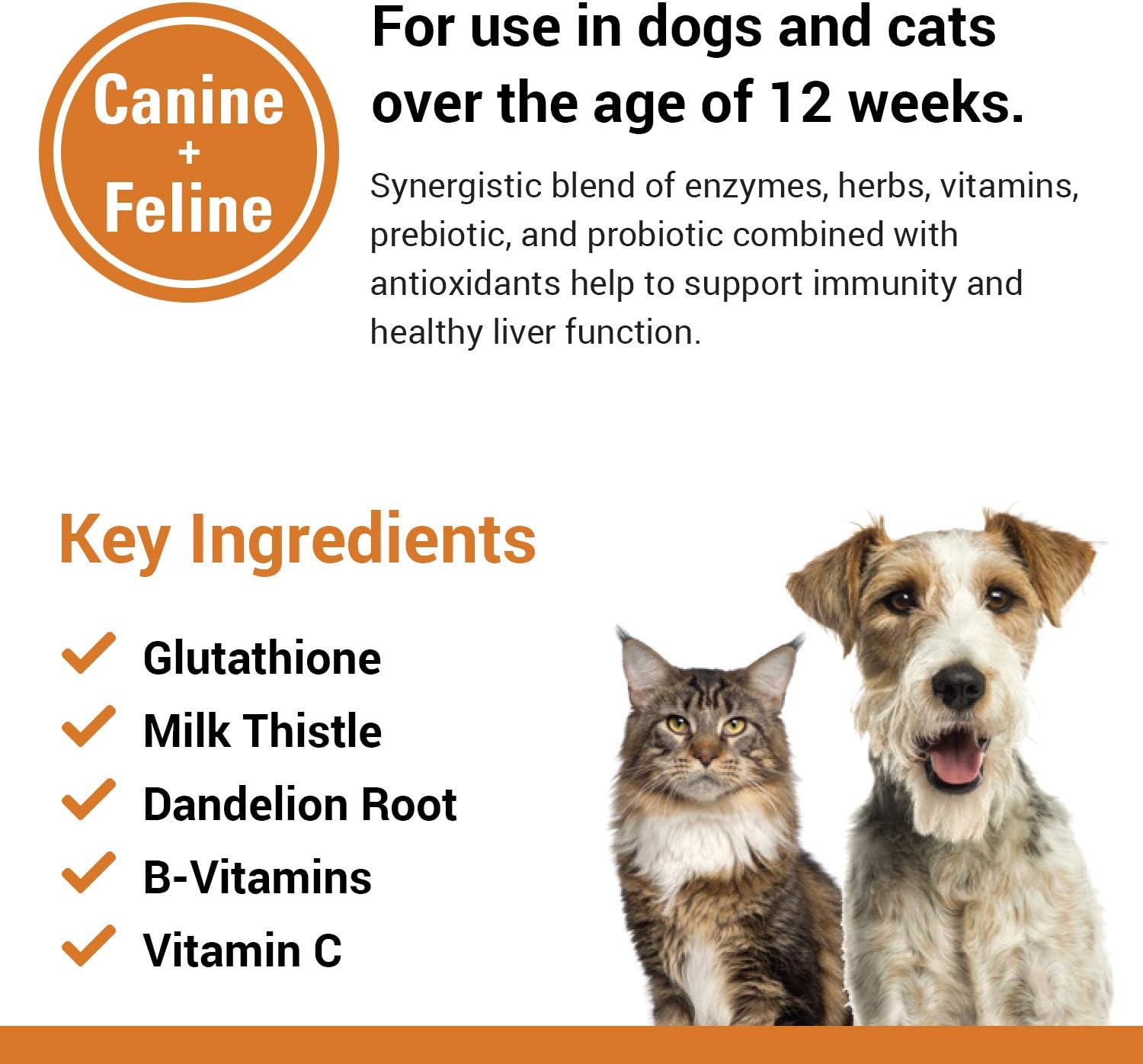 Liver Support Pet Health Supplement for Dogs, Cats – Liver Functions – B-Vitamins, Glutathione, Milk Thistle – Soft Tablets, Chews – 60 Chewable Tablets