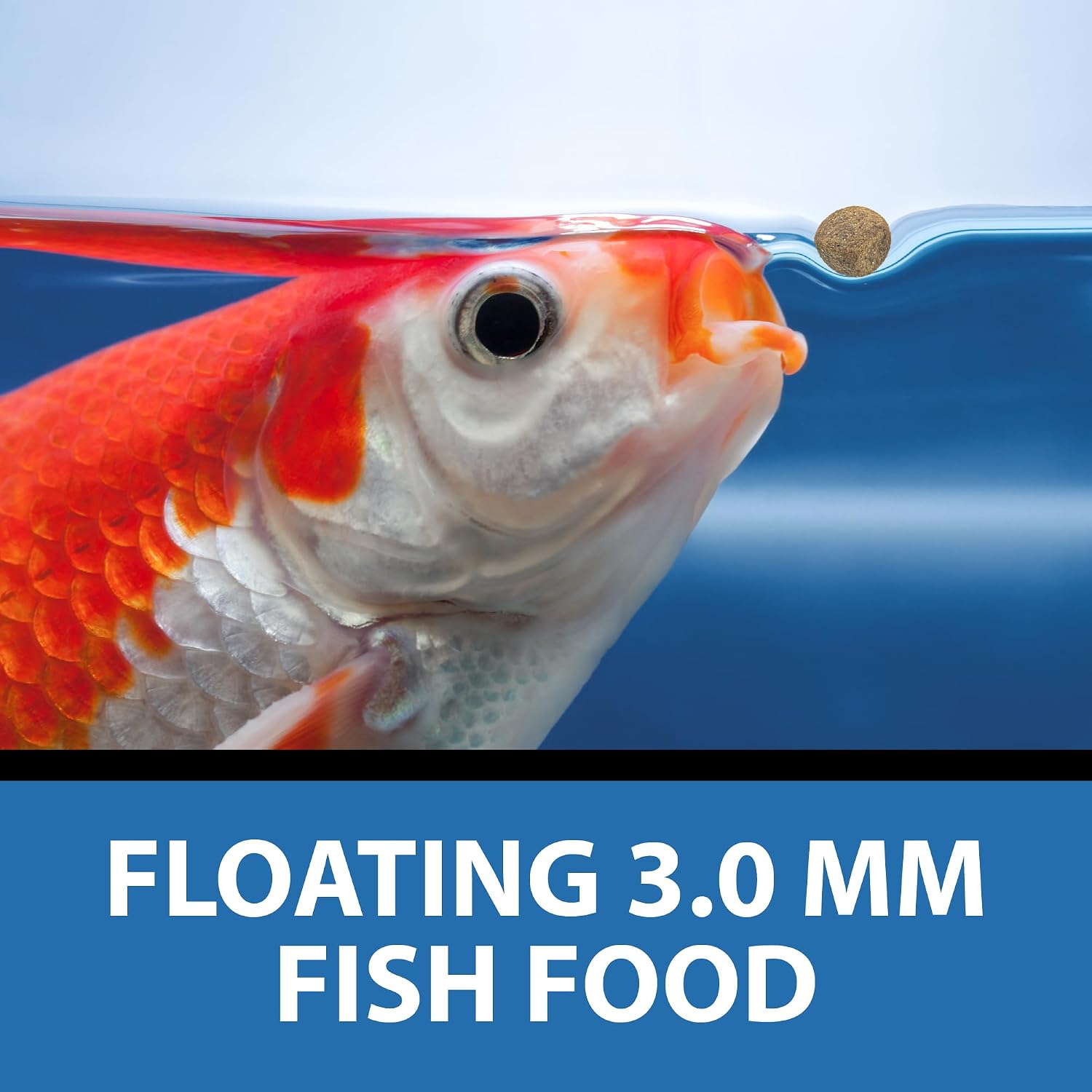 CrystalClear Staple Pond Fish Food for Koi & Goldfish, 8.8 Pound Bucket | Protein packed floating pellets for summer nutrition with easy digestion to support healthy growth and vitality