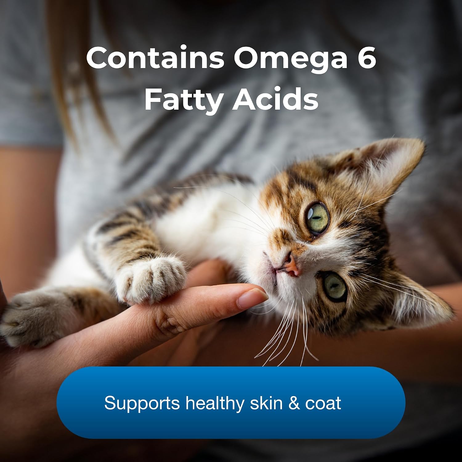 PetAg KMR Healthy Development - 14 oz - Great Tasting Nutritional Supplement for Cats and Weaning Kittens