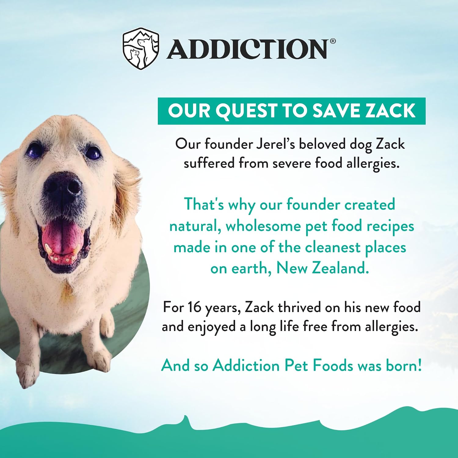 Addiction Venison Recipe Meaty Bites, All Natural Free Range Grain Free High Meat Dog Treats, 4 Oz.