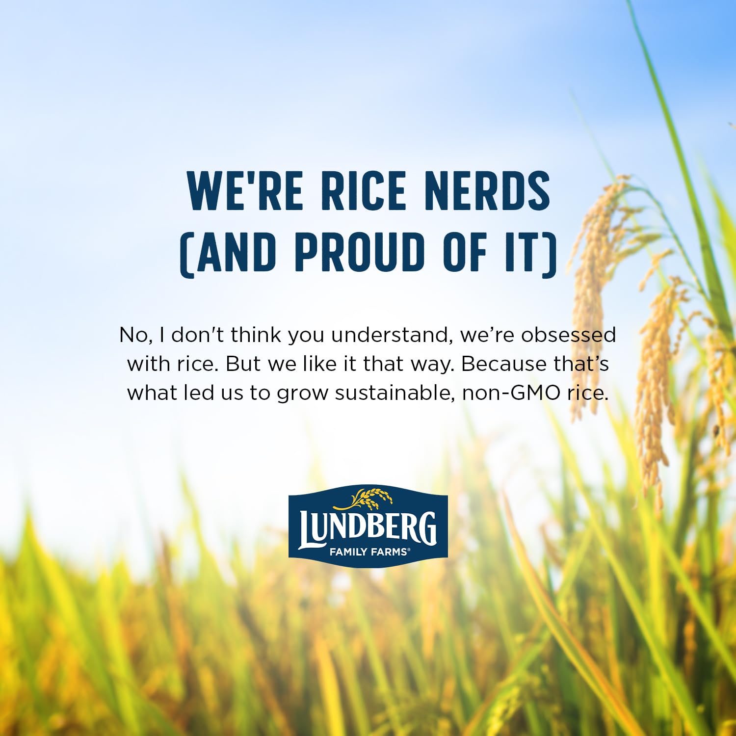 Lundberg Basmati Rice, Long Grain White Rice - Non-Sticky, Fluffy, Nutty, Aromatic Rice, Vegan Food, Healthy Meals, Gluten-Free, Grown in California, 64 Oz