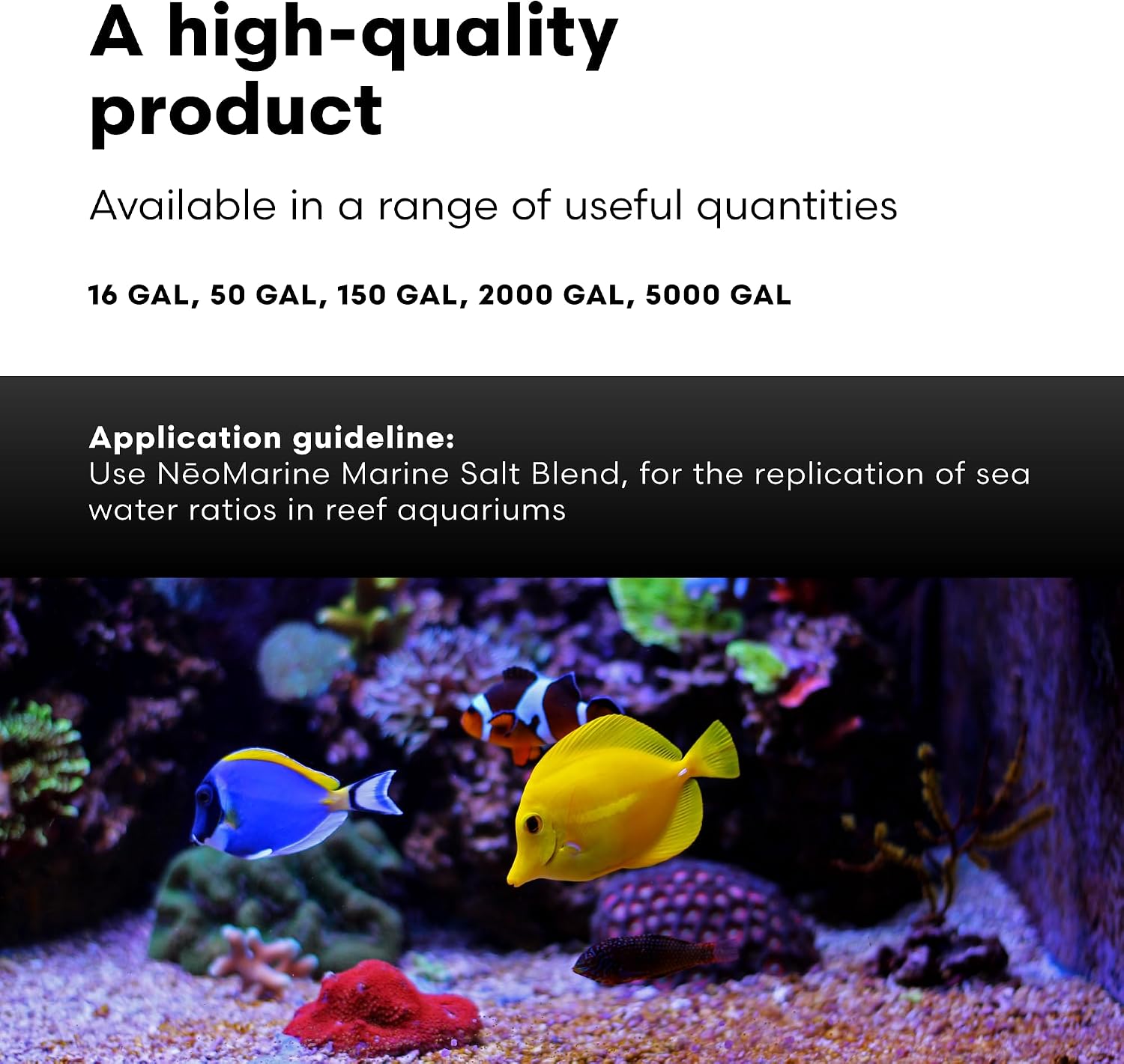 Brightwell Aquatics - NeoMarine Marine Salt Blend for Reef Aquarium - Fish Tank Starter Aquarium Salt - Aquarium Water Treatments, 16-GAL