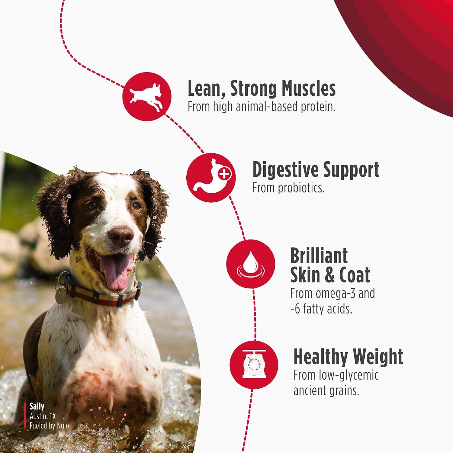 Nulo Frontrunner Dry Dog Food - Adult High-Protein Beef, Barley & Lamb Recipe, Natural Kibble with Ancient Grains, Probiotics, Taurine