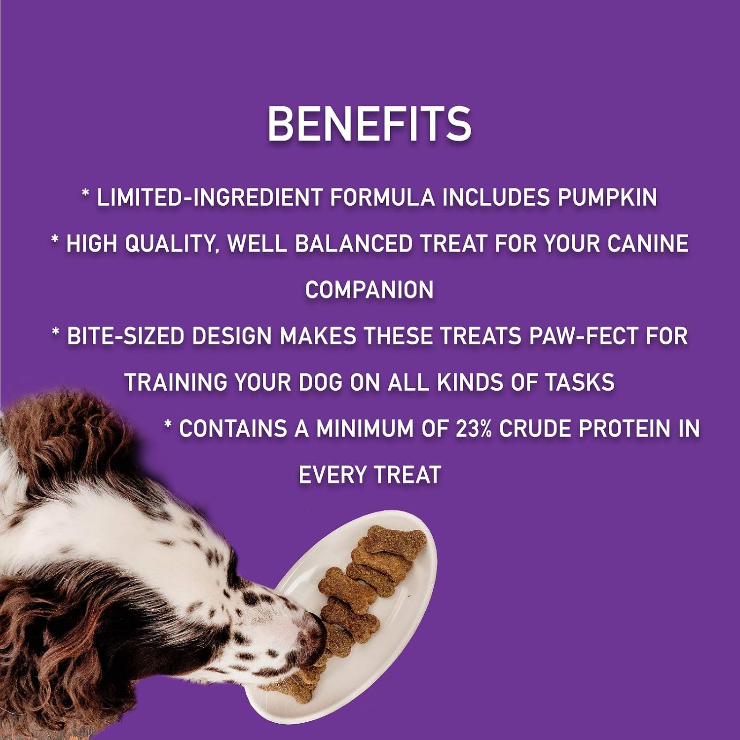 Zignature Duck Limited Ingredient Formula Biscuit Dog Treat 12oz