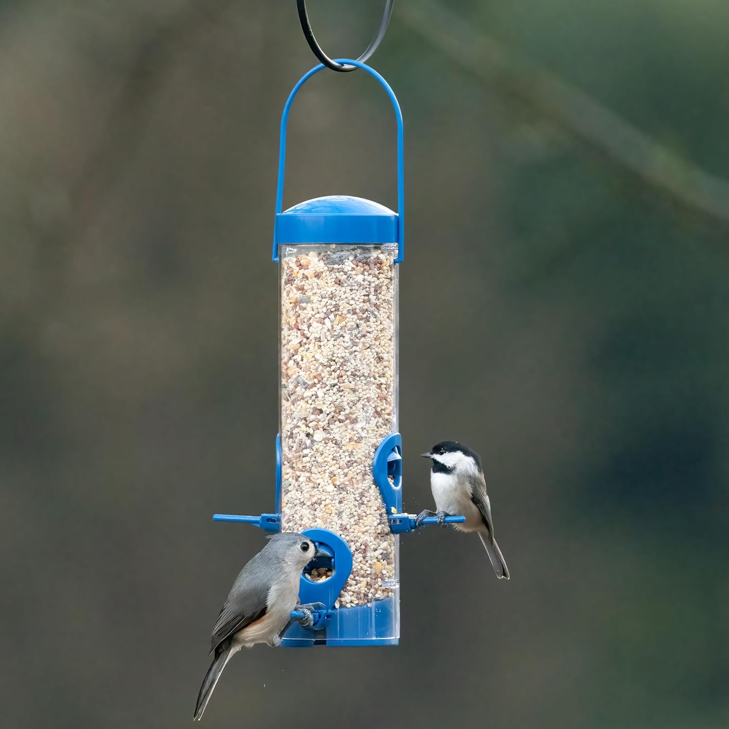 Perky-Pet Navy 2-in-1 Tube Bird Feeder for Outdoors, 4 Port Tube Bird Feeder