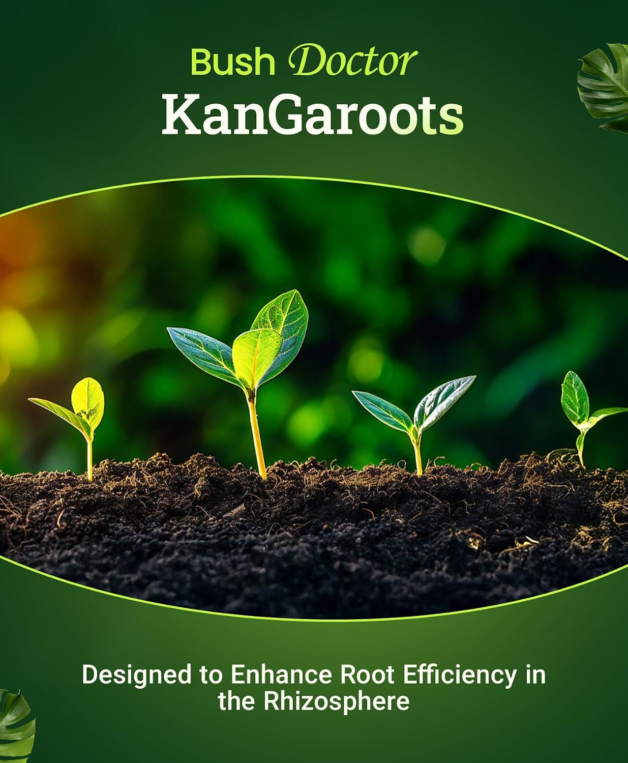 FoxFarm Bush Doctor Kangaroots Root Drench Inoculant – Enhances Root Efficiency, Immediate Nutrient Uptake, Custom Soil Microbes - Ideal for Hydroponic & Soil Applications - 1 Quart
