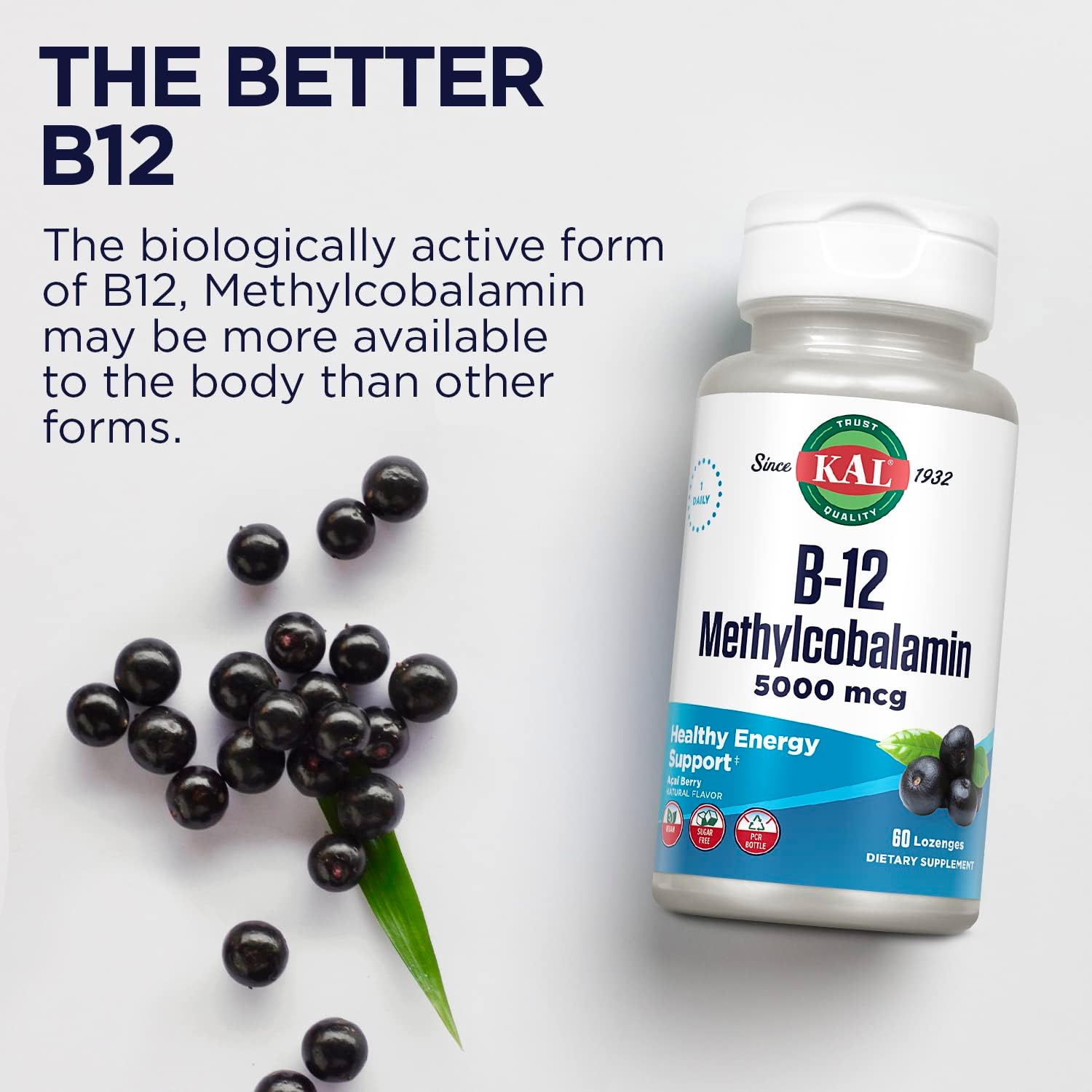 KAL Vitamin B-6 B-12 Folic Acid DropIns, Liquid Vitamin B Supplement Drops, Heart Health, Energy, Red Blood Cell Support with Methyl B12 and Methyl Folate, Natural Mixed Berry Flavor, 59 Servings, 2oz | Cardiovascular, Energy & Nerve Support - Active P-5…