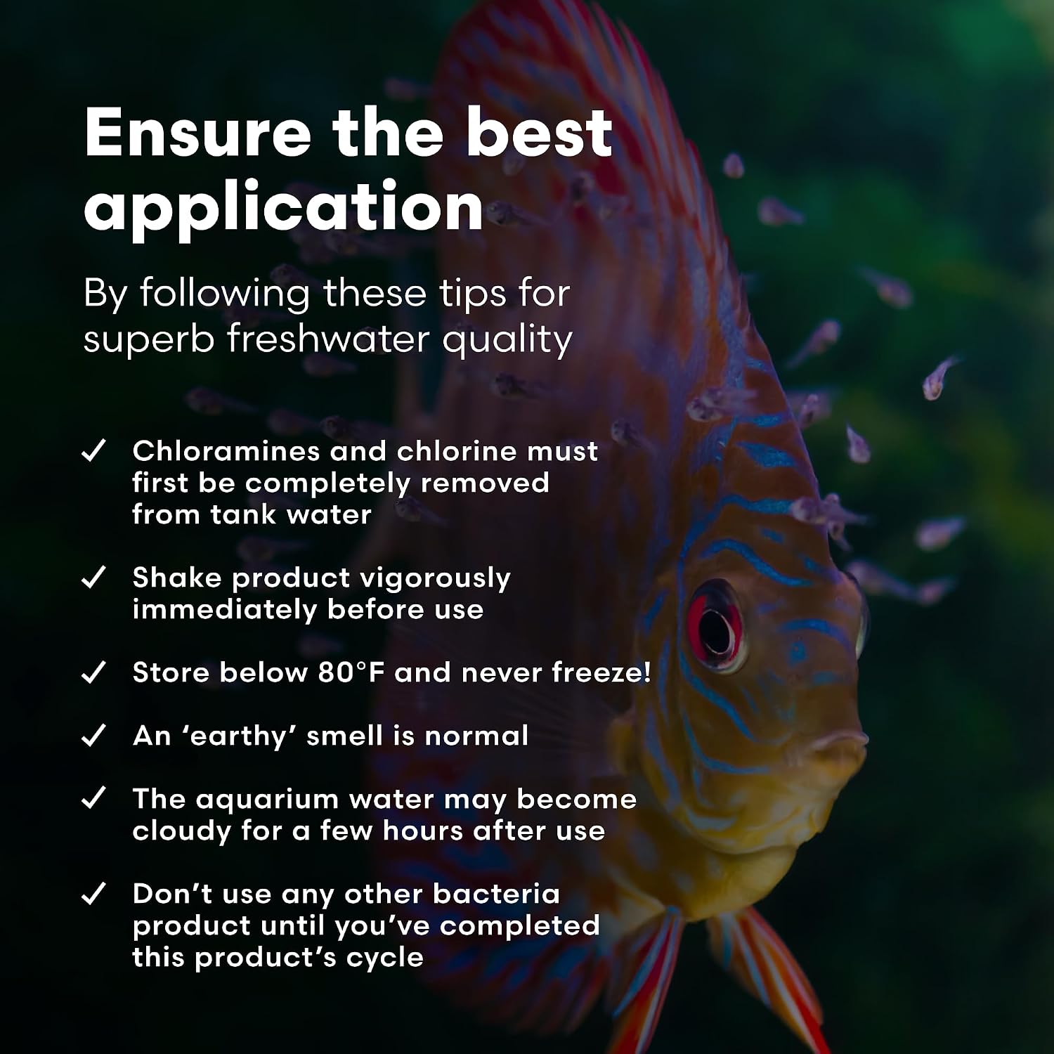 Brightwell Aquatics MicroBacter Start XLF Freshwater Tank Starter, 125 ml
