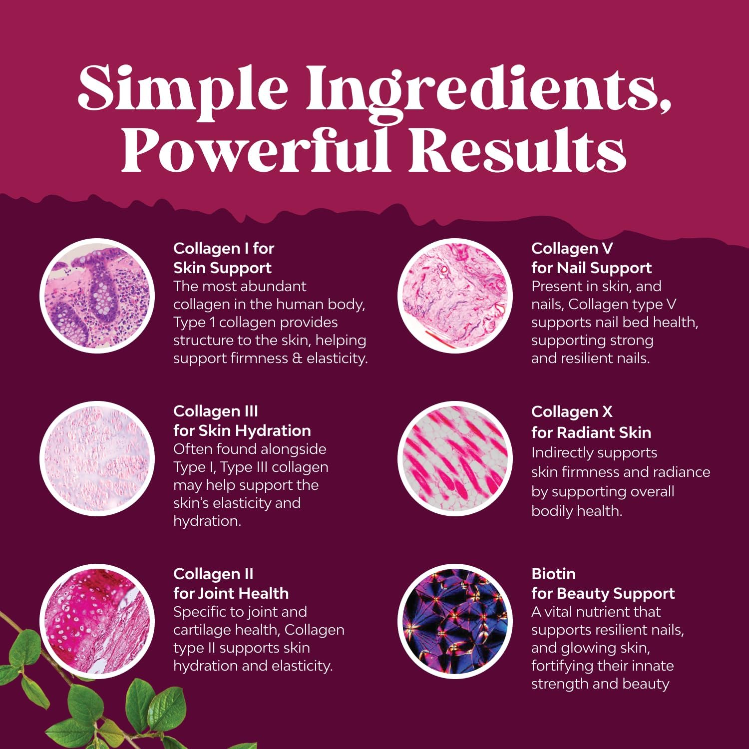 Advanced Multi Collagen Complex - Ageless Multi Collagen Peptides Supplements with Type 1 2 3 5 & X & Biotin for Hair