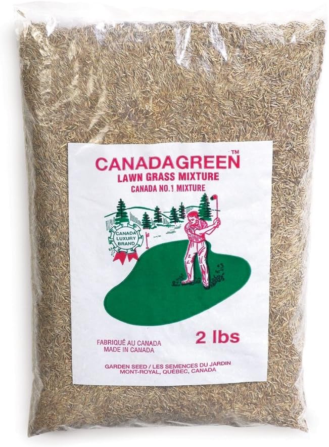 Canada Green Grass Seed - 2 Lb. Bag, Brown