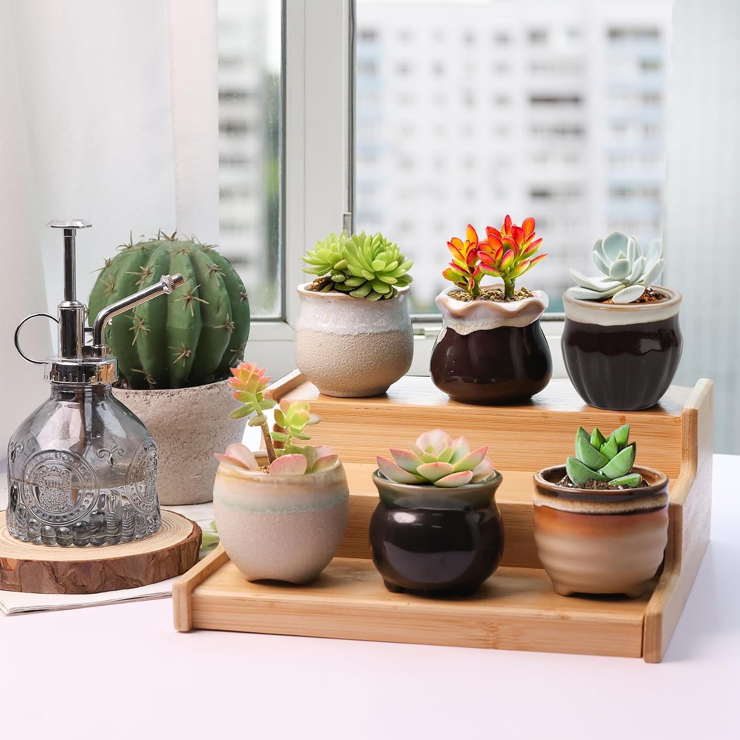 T4U Mini Succulent Ceramic Pots for Gifts, Small Planters for Decor 6 Pack | Planters with Drainage, for live cactus plants, bonsai tree starter pots, indoor windowsill decor, office desk accents