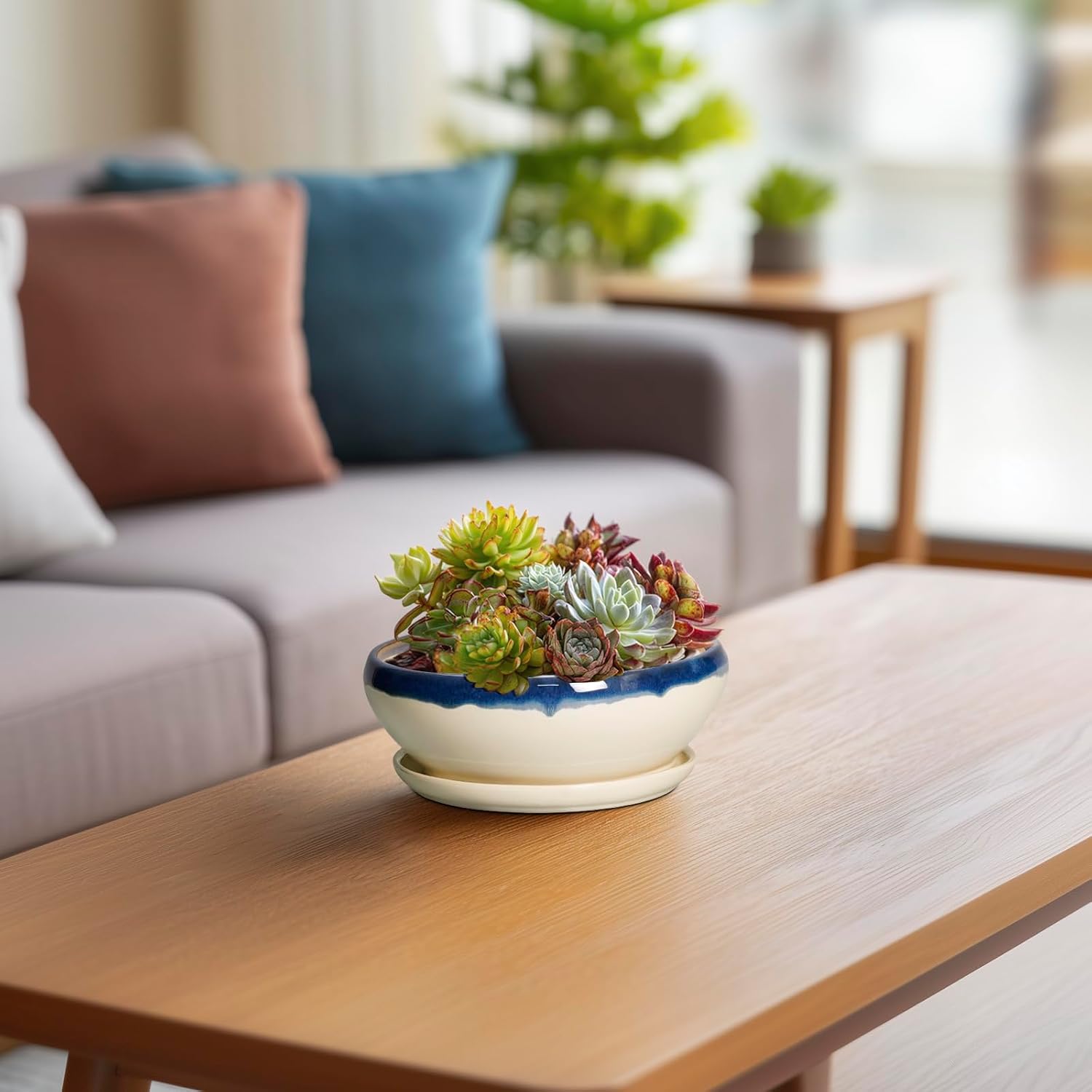 SQOWL 7 Inch Round Ceramic Succulent Planter Pot Drip Glazed Shallow Planter with Drainage Bamboo Tray for Indoor Plants