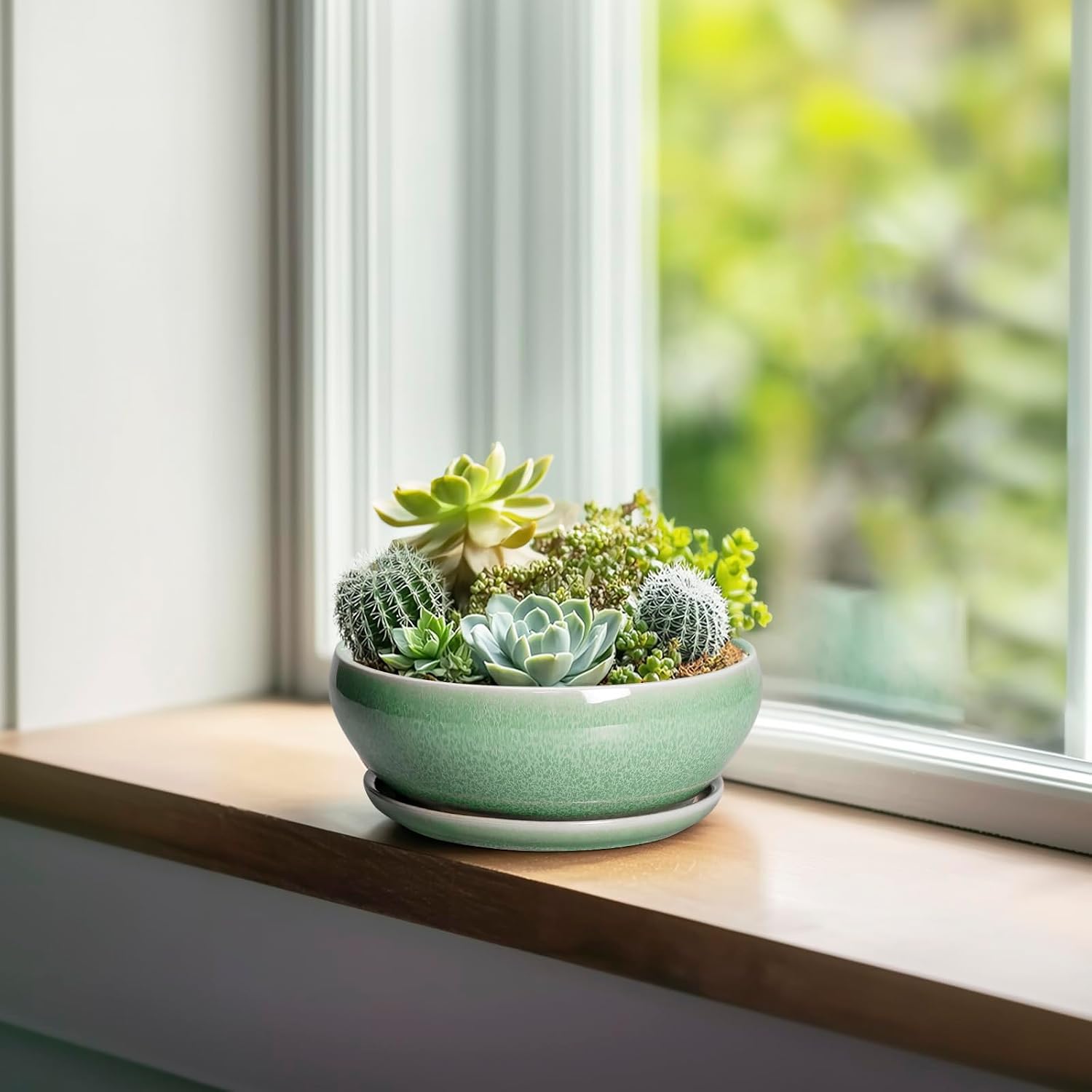 SQOWL 7 Inch Round Ceramic Succulent Planter Pot Drip Glazed Shallow Planter with Drainage Bamboo Tray for Indoor Plants