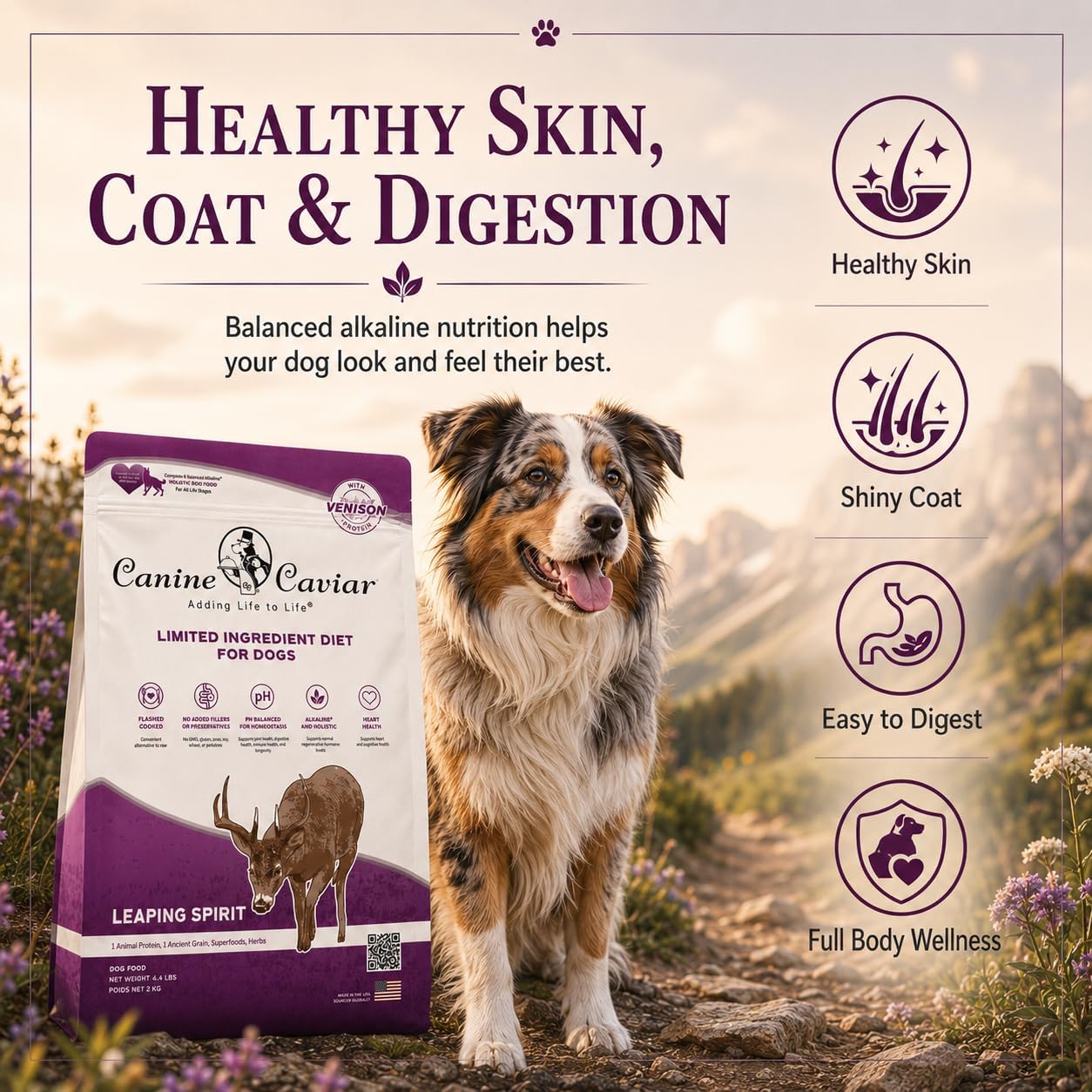 Canine Caviar - Open Range: Water Buffalo & Chickpea Alkaline Dry Dog Food, Limited Ingredients, Gluten-Free, Based on Science & Research, Veterinary Alternative Diet (22 Pound Bag)