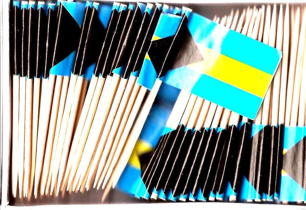 One Box of 100 Nicaragua Toothpick Flags, 100 Small Mini International Flag Cupcake Toothpicks or Cocktail Picks