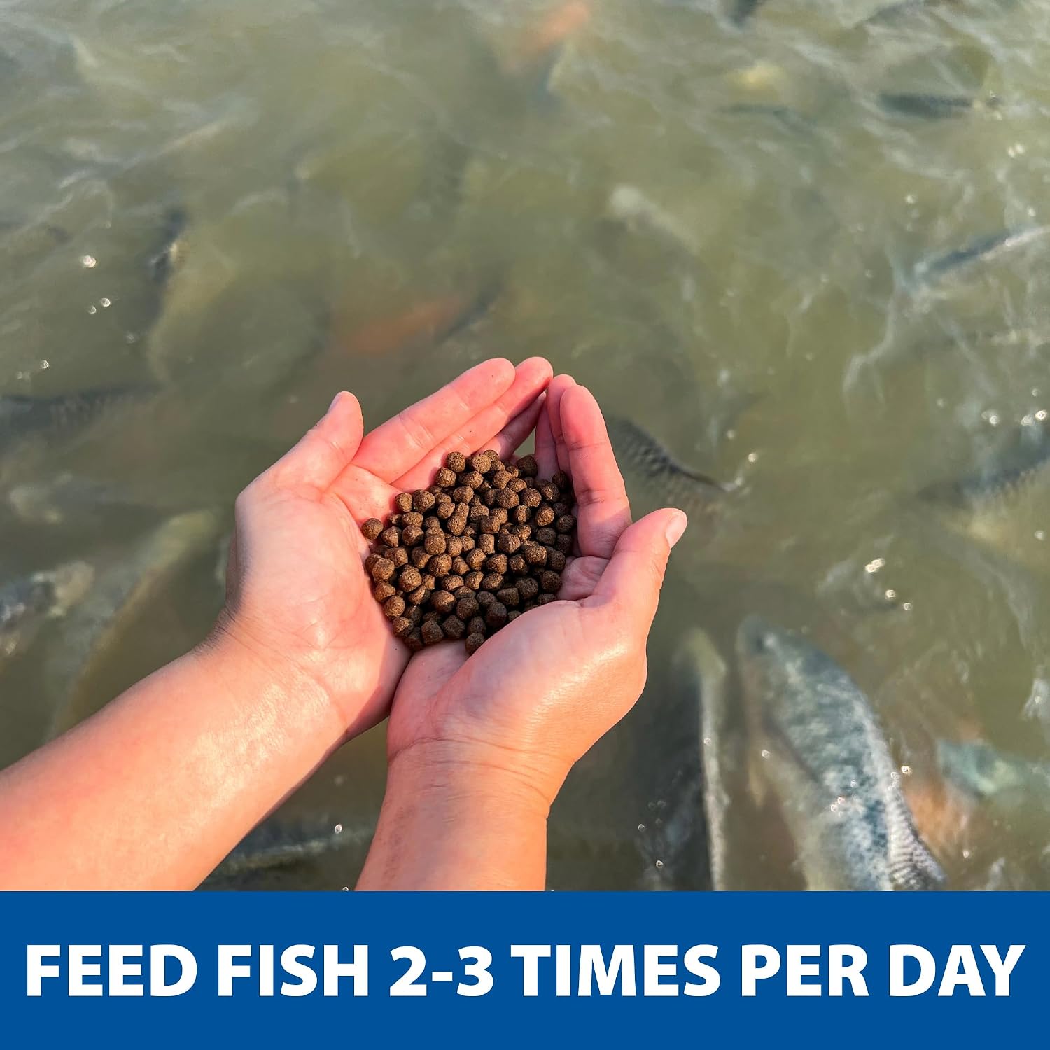 The Pond Guy Game Fish Grower Floating Pellet Food, 17 lbs | Complete aquatic nutrition for bass, trout