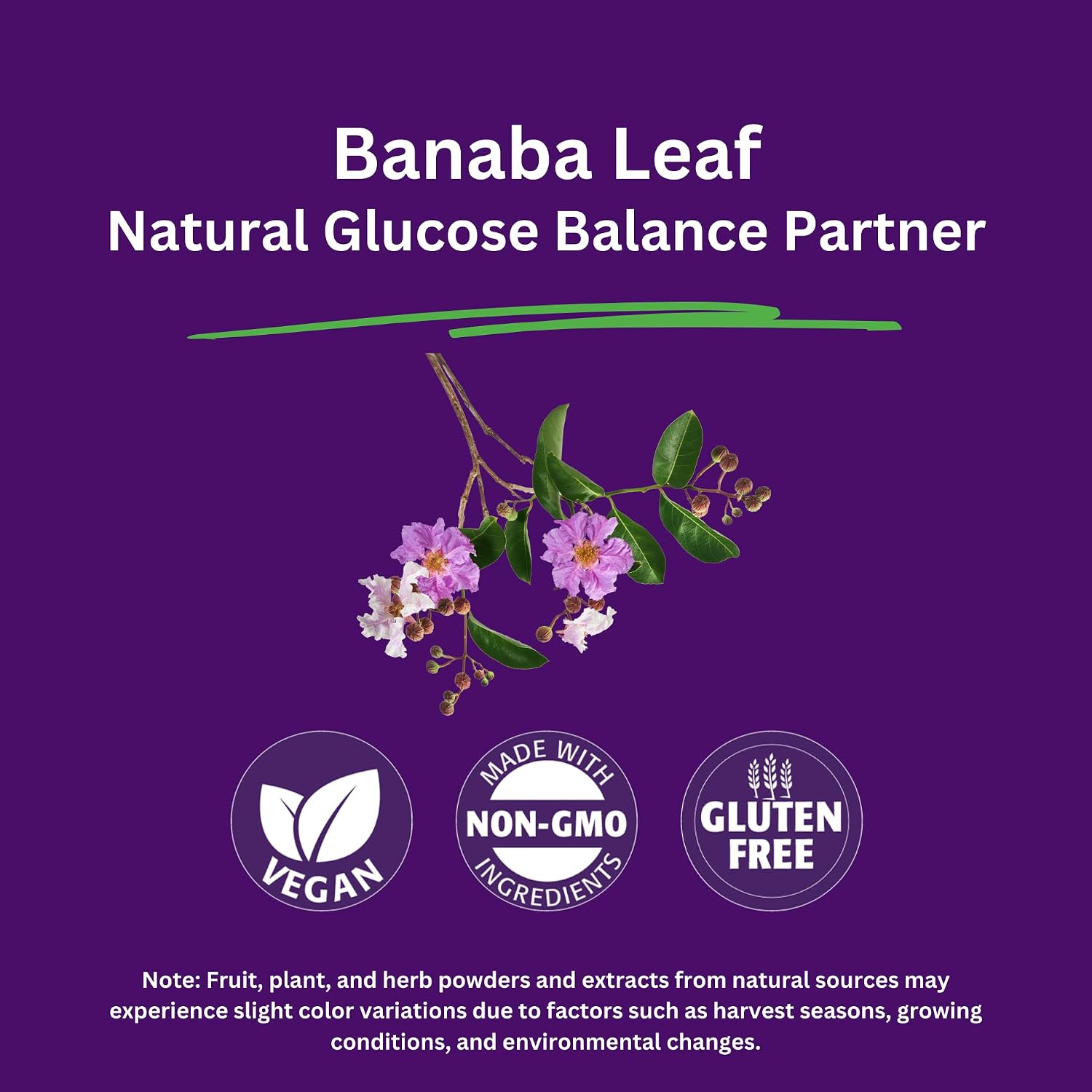Paradise Herbs & Essentials Banaba Leaf Extract 250 mg, 180 Capsules | 12:1 concentrated formula, vegan, gluten free, non-GMO dietary supplement with a convenient daily serving format