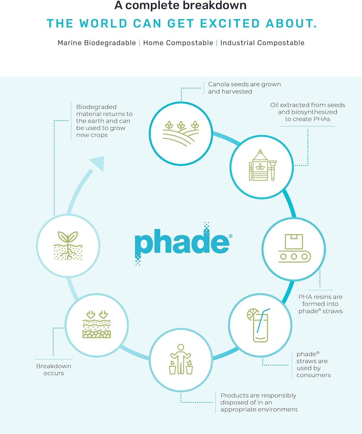 phade Phade 7.75 inch Jumbo Compostable Biodegradable Eco Straws,375 Count,Individually Wrapped,For Cold Drinks Only