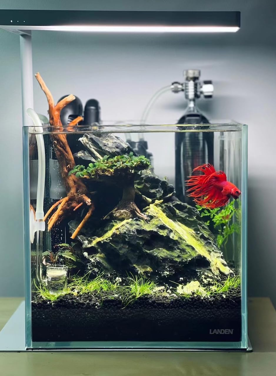 Thriva Aqua Soil Aquarium Substrate Black 5L Planted Tank Shrimp | For planted aquarium, aquascaping and shrimp