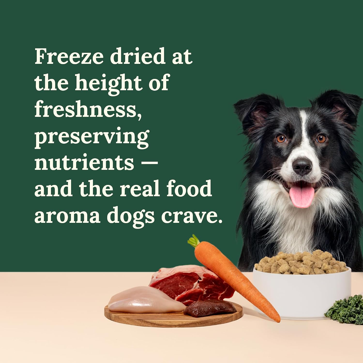 360 Pet Nutrition Freeze-Dried Raw Dog Food – Multi-Protein with Beef, Chicken, Fish, Liver & Organs
